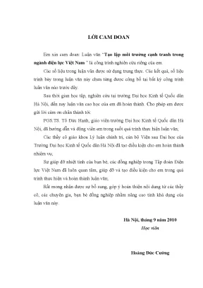 Tạo Lập Môi Trường Cạnh Tranh Trong Ngành Điện Lực Việt Nam