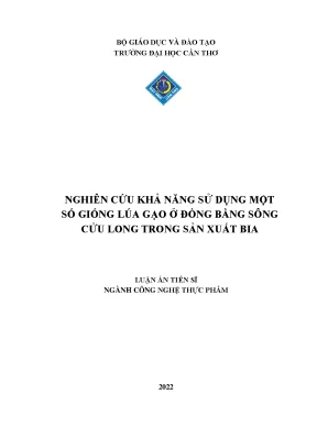 Nghiên Cứu Sử Dụng Giống Lúa Gạo Trong Sản Xuất Bia Tại