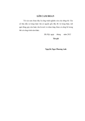 Nghiên Cứu Đầu Tư Phát Triển Tại Công Ty Cổ Phần StoxPlus