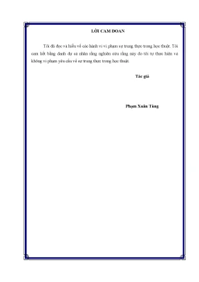 Phát Triển Thương Hiệu Sản Phẩm Ẩm Thực Chả Mực Hạ Long