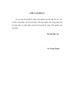 Nghiên Cứu Chiến Lược Kinh Doanh Xăng Dầu Tại Chi Nhánh