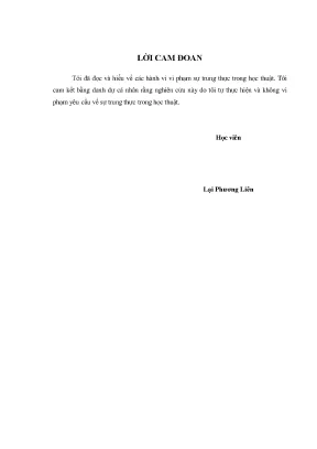 Nâng Cao Chất Lượng Nhân Lực Điều Phái Bay Ngành Hàng
