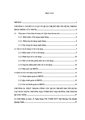 Quản Trị Rủi Ro Tín Dụng Tại Ngân Hàng Thương Mại Đại