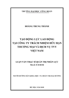 Tạo Động Lực Lao Động Tại Công Ty TVV Việt Nam: Nghiên