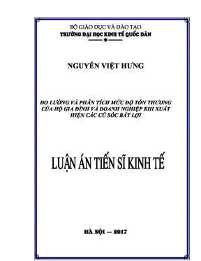 Đo Lường Tổn Thương Hộ Gia Đình và Doanh Nghiệp Khi Gặp 