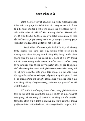 Bệnh hoại tử vỏ mạch chám xương ở trẻ em: Nguyên nhân,