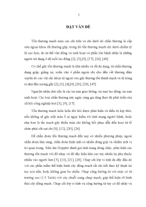 Đặc điểm tổn thương mạch máu chi dưới do chấn thương: