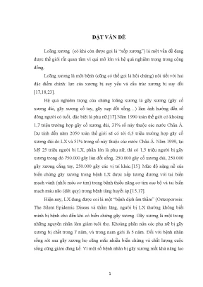 Hiểu Biết Về Loãng Xương: Nguyên Nhân, Hệ Quả và Phương