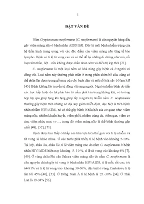 Nấm Cryptococcus neoformans: Nguyên nhân chính gây viêm