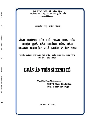 Cổ phần hóa và tác động đến hiệu quả tài chính doanh