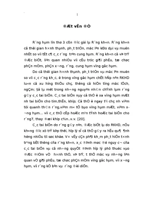 Tình Trạng Răng Khôn: Nguyên Nhân, Biến Chứng và Phương 