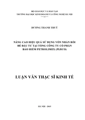 Nâng Cao Hiệu Quả Sử Dụng Vốn Nhàn Rỗi Tại PIJICO