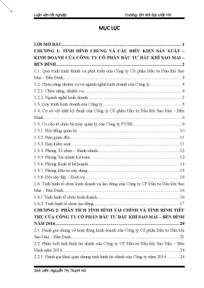Phân Tích Tình Hình Kinh Doanh và Tài Chính của Công Ty