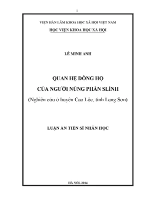Nghiên Cứu Quan Hệ Dòng Họ Của Người Nùng Phàn Slình Tại 