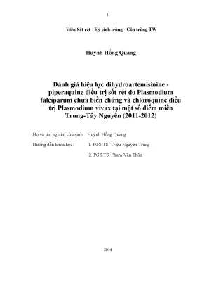 Đánh giá hiệu lực dihydroartemisinine - piperaquine và