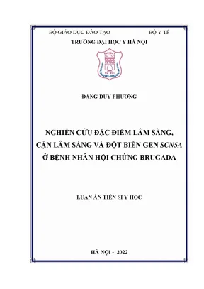 Nghiên Cứu Đặc Điểm Lâm Sàng và Đột Biến Gen SCN5A ở