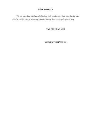 Cơ Chế Tự Chủ Tài Chính Trong Giáo Dục Công Lập: Thực