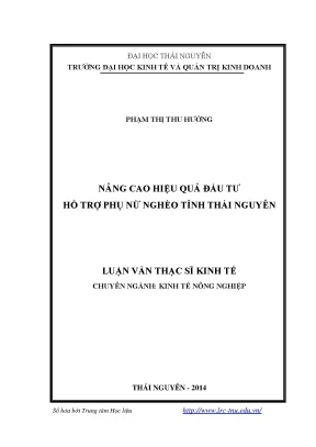 Nâng Cao Hiệu Quả Đầu Tư Hỗ Trợ Phụ Nữ Nghèo Tỉnh Thái