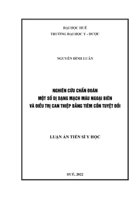 Chẩn Đoán và Điều Trị Dị Dạng Mạch Máu Ngoại Biên