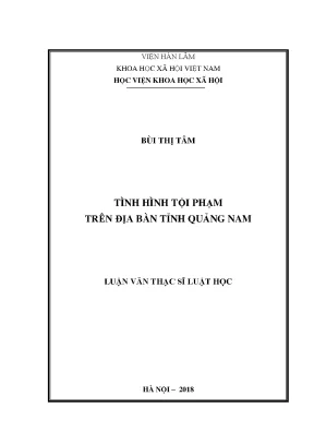 Tình Hình Tội Phạm Tại Tỉnh Quảng Nam: Phân Tích và Giải