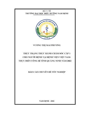 Thực Trạng Chăm Sóc Cấp 1 Tại Bệnh Viện Việt Nam - Thụy 
