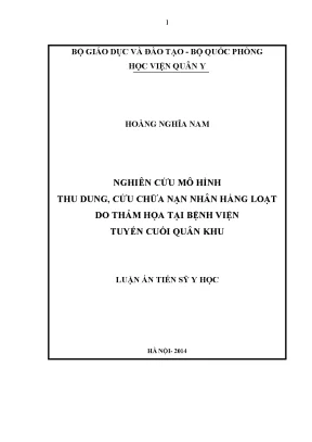 Nghiên Cứu Mô Hình Cứu Chữa Nạn Nhân Hàng Loạt Do Thảm 