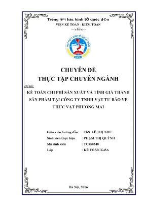 Kế Toán Chi Phí Sản Xuất và Tính Giá Thành Sản Phẩm tại