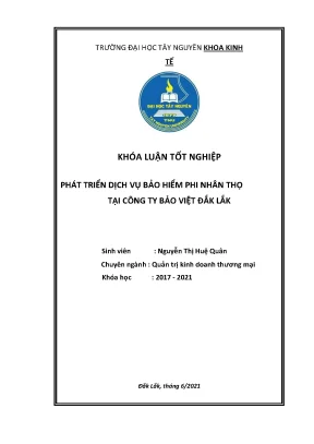 Phát Triển Dịch Vụ Bảo Hiểm Phi Nhân Thọ Tại Bảo Việt