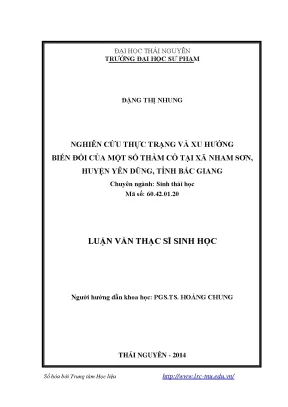 Nghiên Cứu Biến Đổi Thảm Cỏ Tại Xã Nham Sơn, Huyện Yên