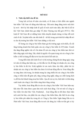 Phát Triển Hoạt Động Đầu Tư Của Công Ty Bảo Hiểm Ngân
