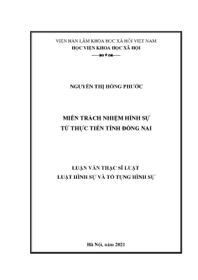 Miễn Trách Nhiệm Hình Sự Tại Tỉnh Đồng Nai: Thực Tiễn và