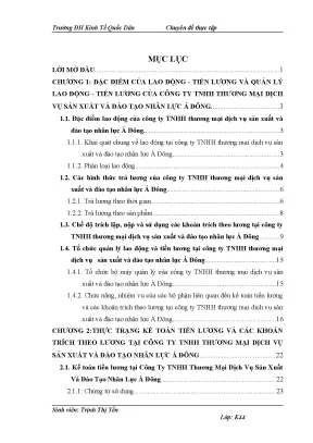 Kế Toán Tiền Lương và Quản Lý Lao Động Tại Công Ty TNHH