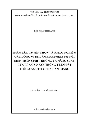 Nghiên Cứu Vi Khuẩn Azospirillum Tác Động Đến Sinh