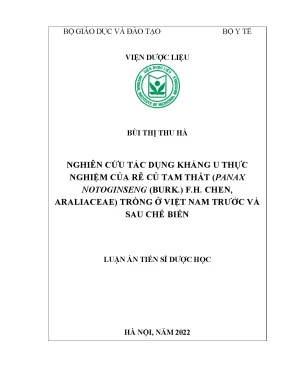 Nghiên cứu tác dụng kháng u của rễ củ Tam Thất trồng ở