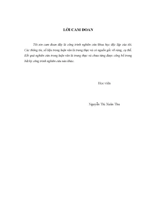 Nghiên Cứu Rủi Ro Trong Cho Vay Tiêu Dùng Thế Chấp Bất 