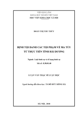 Định Tội Danh Các Tội Phạm Về Ma Túy Tại Tỉnh Hải Dương:
