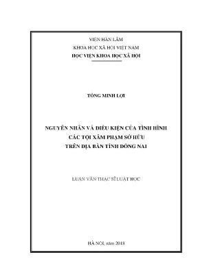 Nguyên Nhân và Điều Kiện Tình Hình Tội Xâm Phạm Sở Hữu