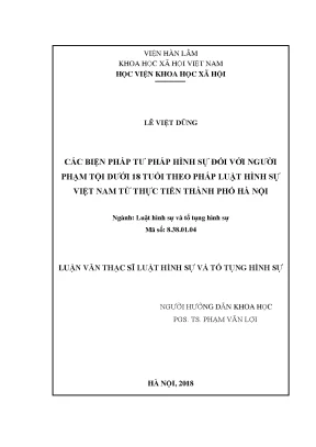 Nghiên Cứu Về Luật Hình Sự và Tố Tụng Hình Sự Tại Việt Nam