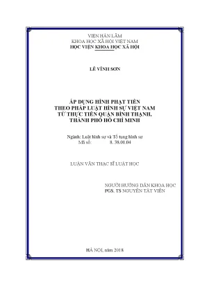 Áp Dụng Hình Phạt Tiền Theo Pháp Luật Hình Sự Việt Nam: