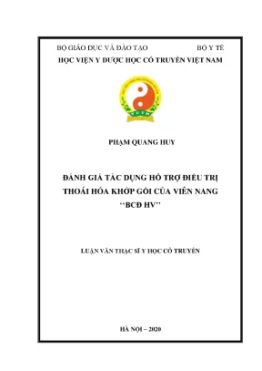 Đánh Giá Tác Dụng Viên Nang BCĐ HV Trong Điều Trị Thoái