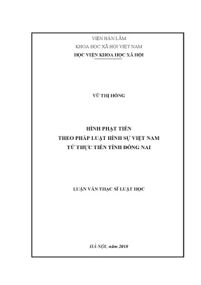 Hình Phạt Tiền Trong Pháp Luật Hình Sự Việt Nam: Thực