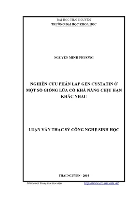 Nghiên cứu phân lập gen cystatin và khả năng chịu hạn ở