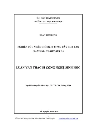 Nghiên Cứu Nhân Giống In Vitro Cây Hoa Ban (Bauhinia