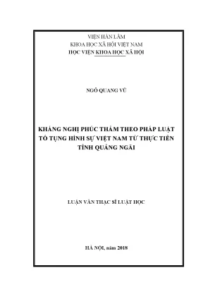 Kháng Nghị Phúc Thẩm Trong Tố Tụng Hình Sự Việt Nam: