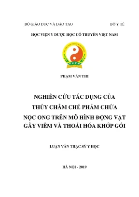 Nghiên Cứu Tác Dụng Của Thủy Châm Chế Phẩm Chứa Nọc Ong