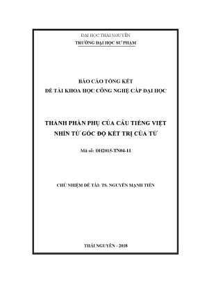 Nghiên Cứu Thành Phần Phụ Của Câu Tiếng Việt Từ Góc Độ