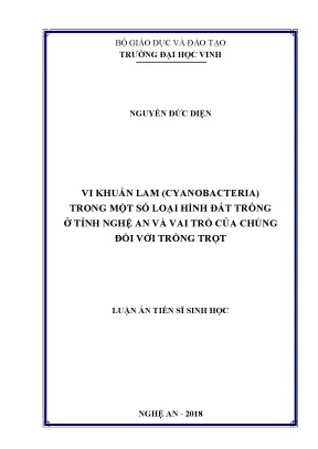 Nghiên Cứu Vai Trò Của Vi Khuẩn Lam Trong Đất Trồng Tại 