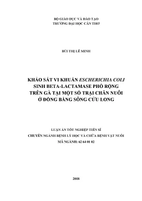 Nghiên Cứu Vi Khuẩn Escherichia Coli Sinh Beta-Lactamase