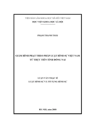 Giảm Hình Phạt Theo Pháp Luật Hình Sự Việt Nam: Thực