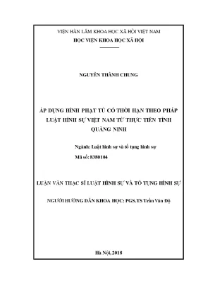 Áp Dụng Hình Phạt Tù Có Thời Hạn Theo Pháp Luật Hình Sự